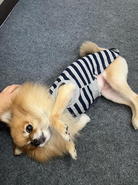 出勤♡