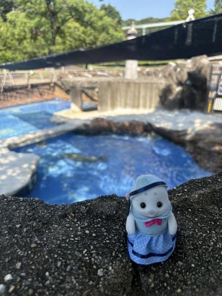おはようございます☀️