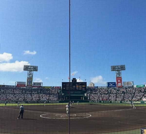 甲子園⚾️