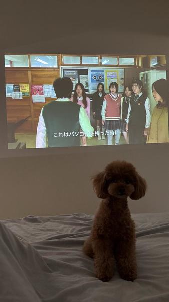 韓ドラ