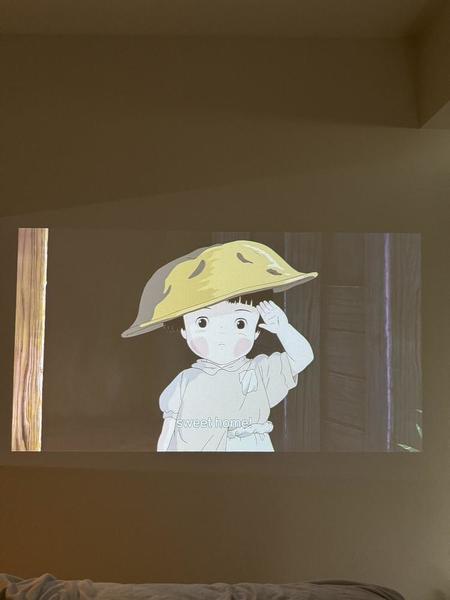 火垂るの墓