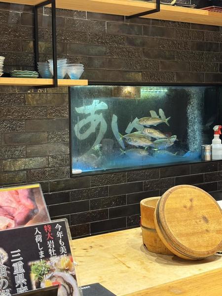 お寿司🍣