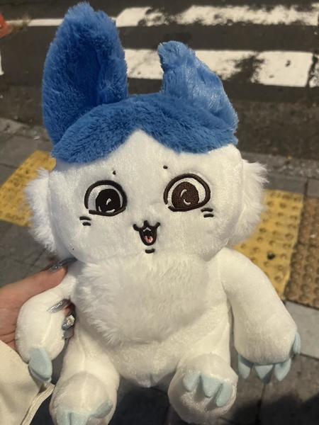 ハチワレ…？？