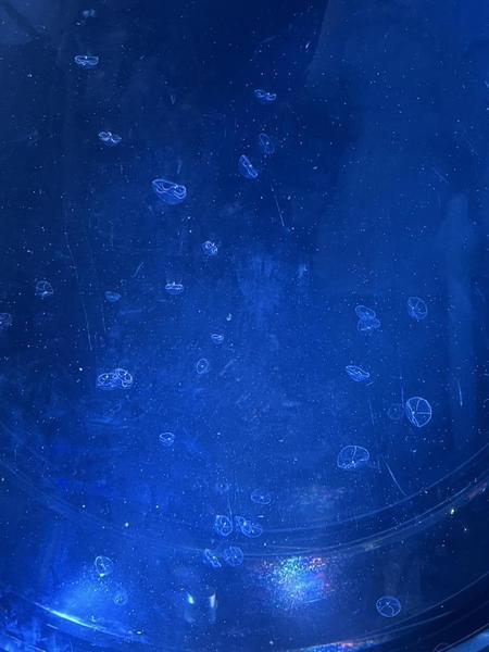 水族館