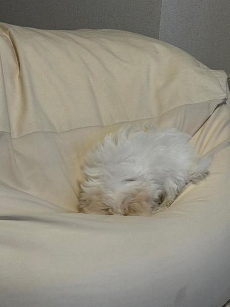 😴💤