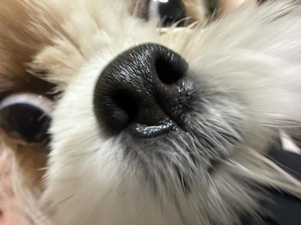 出勤♡