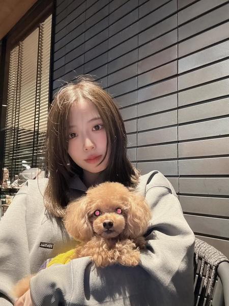 🐶
