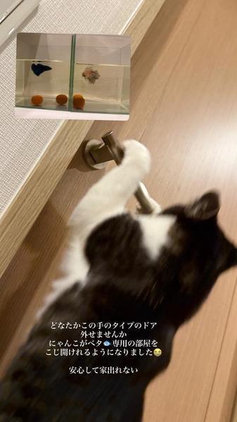 ◯◯やめてもらってもいいですか？