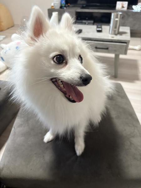 …( っ °､｡)っ