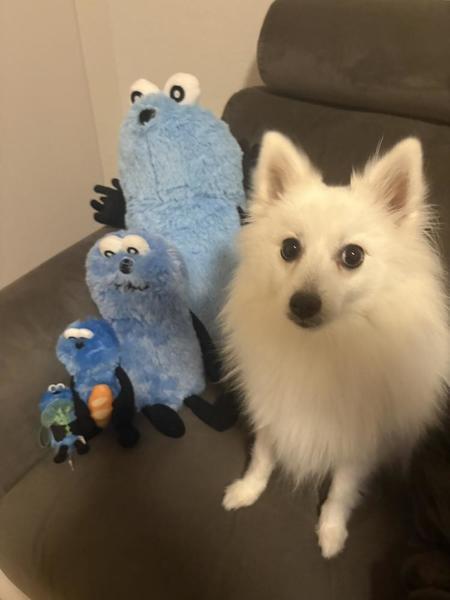 …( っ °､｡)っ