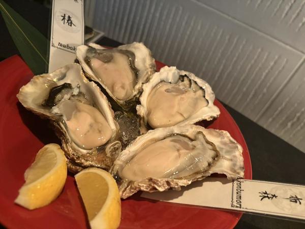 ദ്ദിᐢ- ̫-ᐢ₎