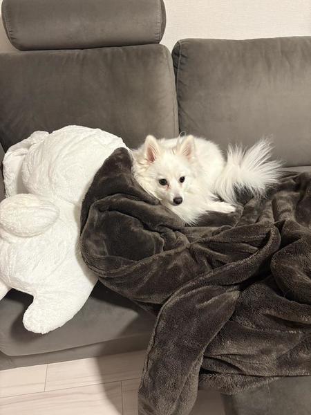 ⚾️☝️(눈_눈)デスボールッ