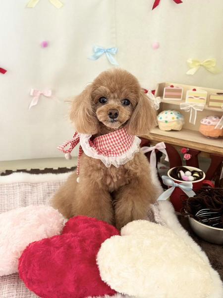 もうすぐ🍫❤️