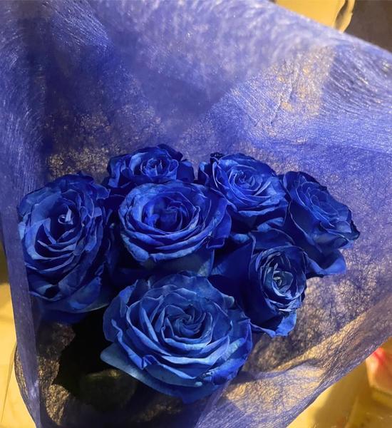 復帰(きらきら)