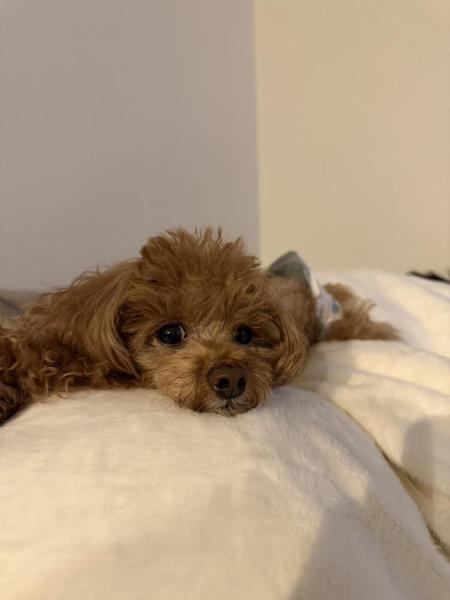 蓄積してる、、