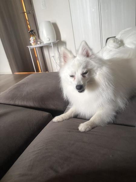 ‎꒰՞ ܸ. .ܸ՞꒱