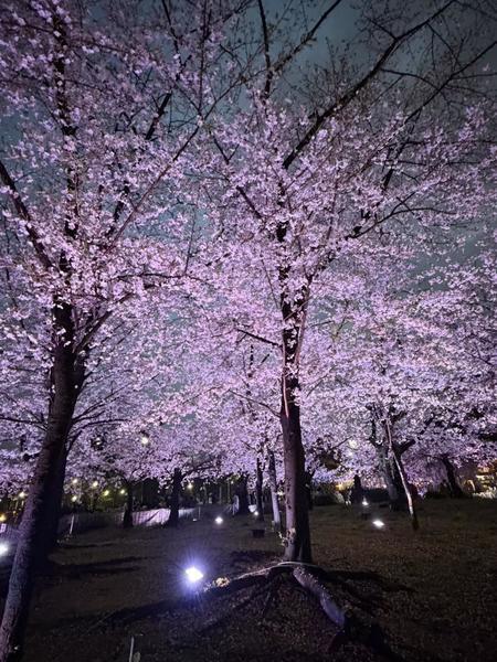 しゅっきん☘️