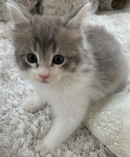 今日からブログ始めます！