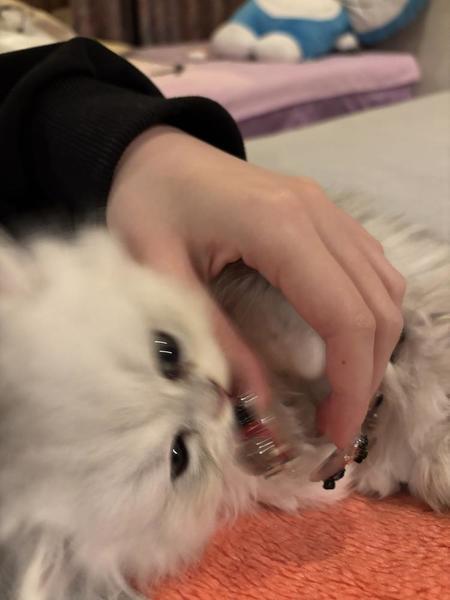 ほぐそうぜ‼️