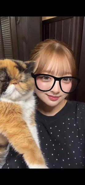 うちの猫が1番可愛い😽 21時〜います！