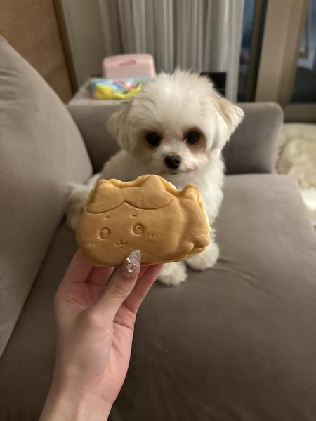 あめあめ