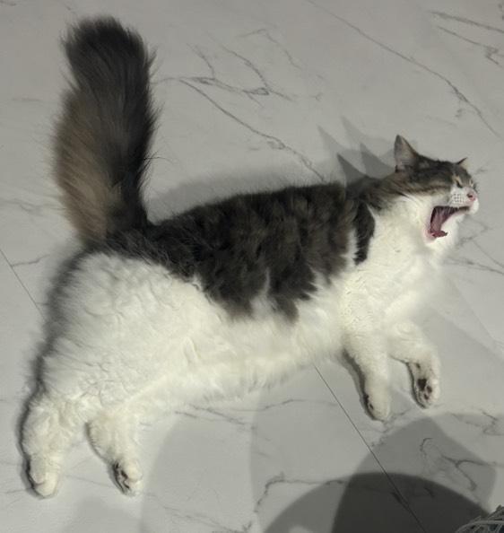 いる