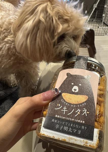 出勤！