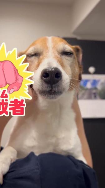 出勤！