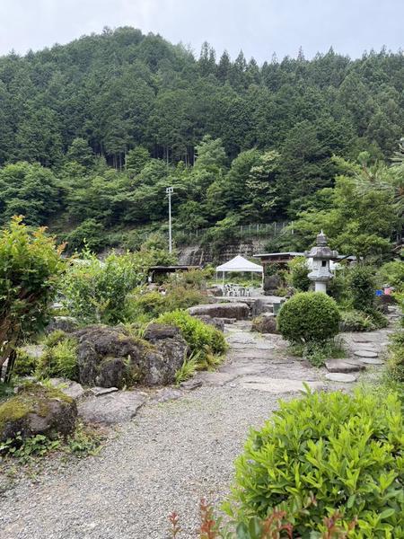 この前自然を感じてきました🌿