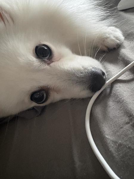 (*^^*)