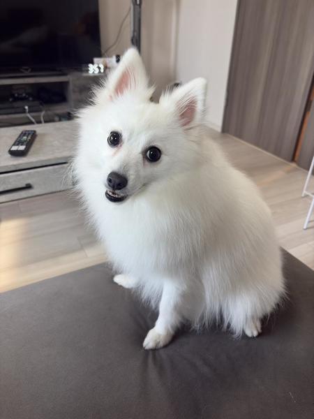 !(´▽｀)