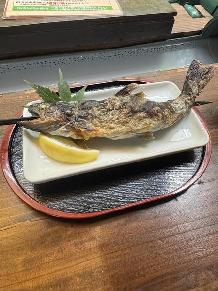 ドキドキ