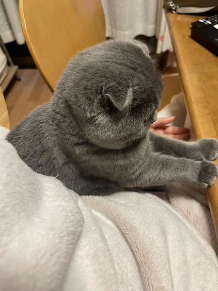 しゅっきん！