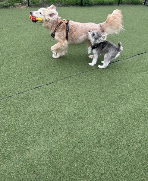 出勤しましたー！！！