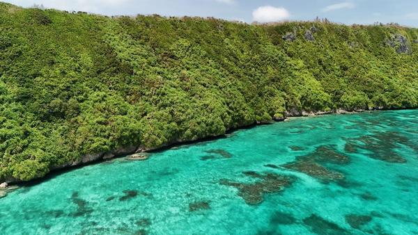 いつのまにか8月