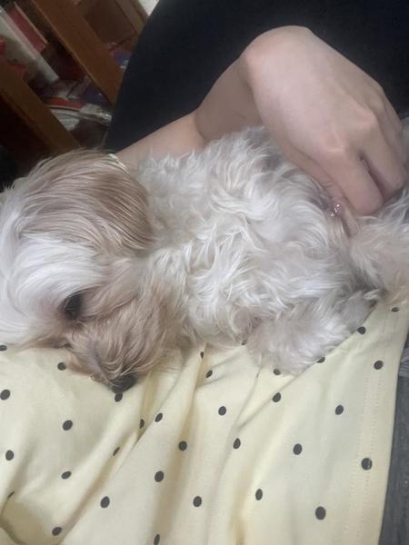今日も出勤ですっ