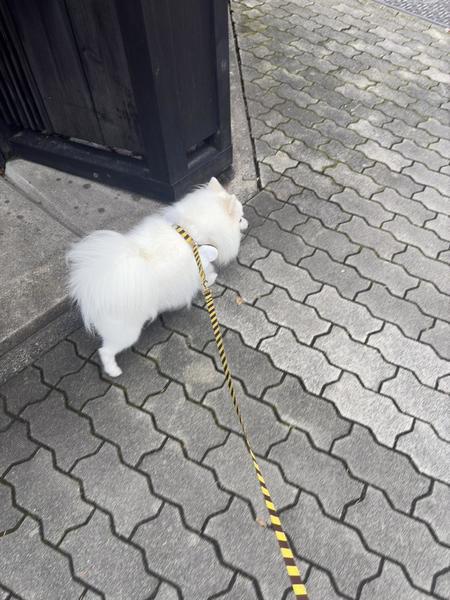 !(´▽｀)