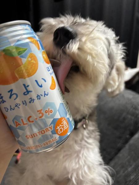 おはようございます☀️